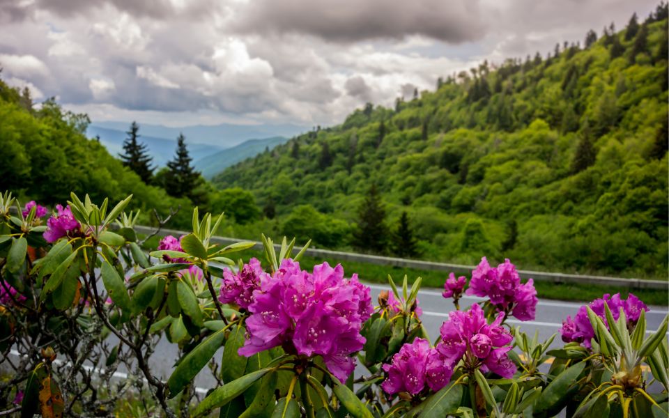 Gatlinburg: App-Based Great Smoky Mountains Park Audio Guide - Key Points