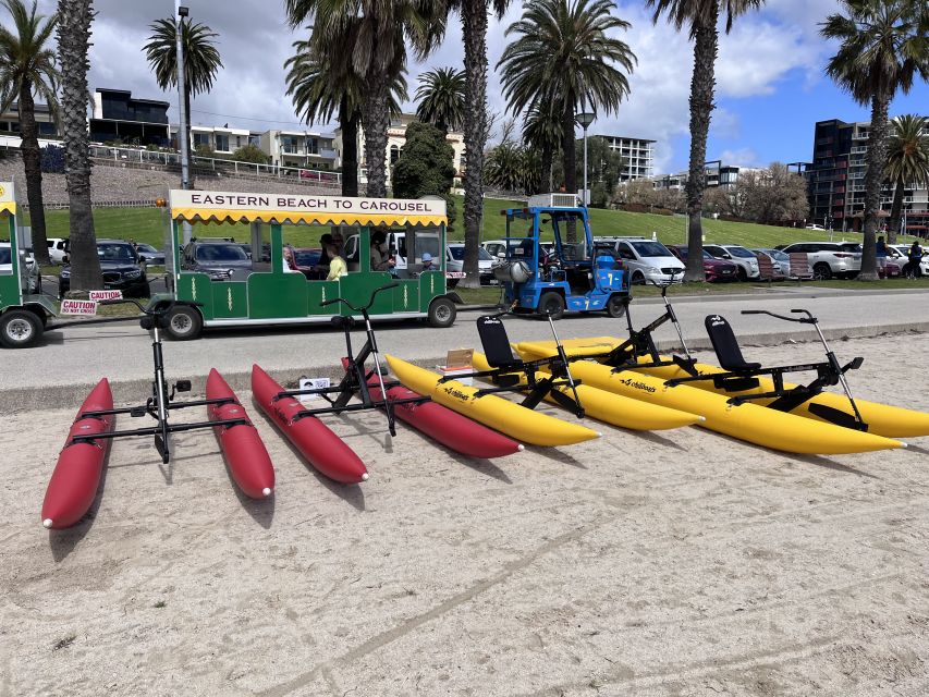 Geelong: Water Bike Coastal Tour - Key Points