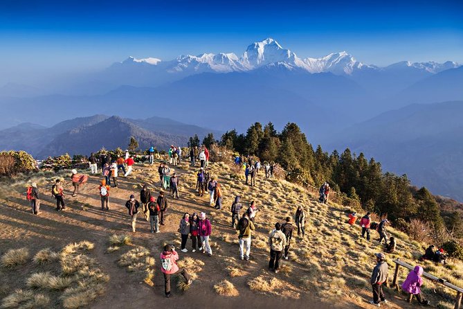 Ghorepani Poon Hill Sunrise Trek - Key Points