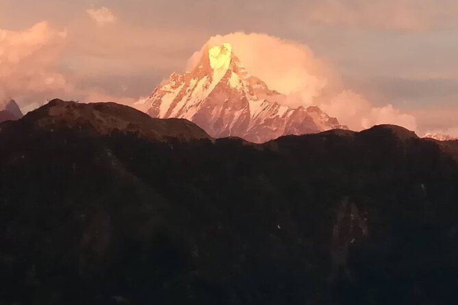 Ghorepani (Poon Hill Trek) - Highlights of Ghorepani Trek