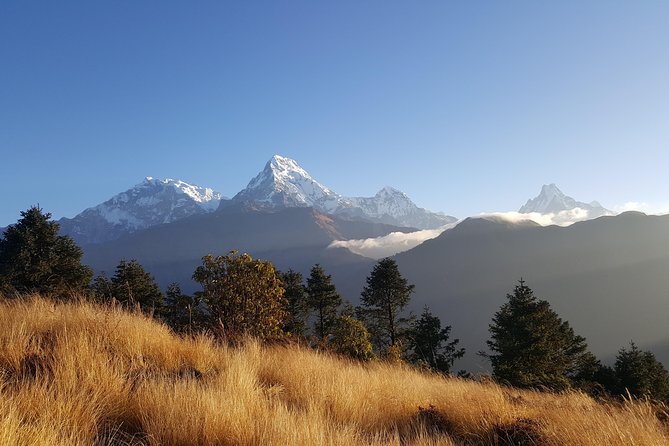 Ghorepani Poonhill Hiking Nepal - Key Points