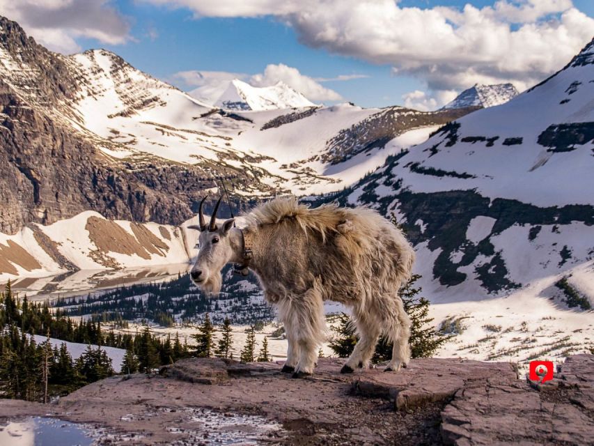 Glacier National Park: Self-Guided Audio Driving Tour - Key Points