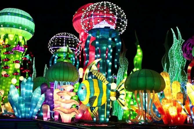 Glow Garden Tickets With Transfers - Key Points