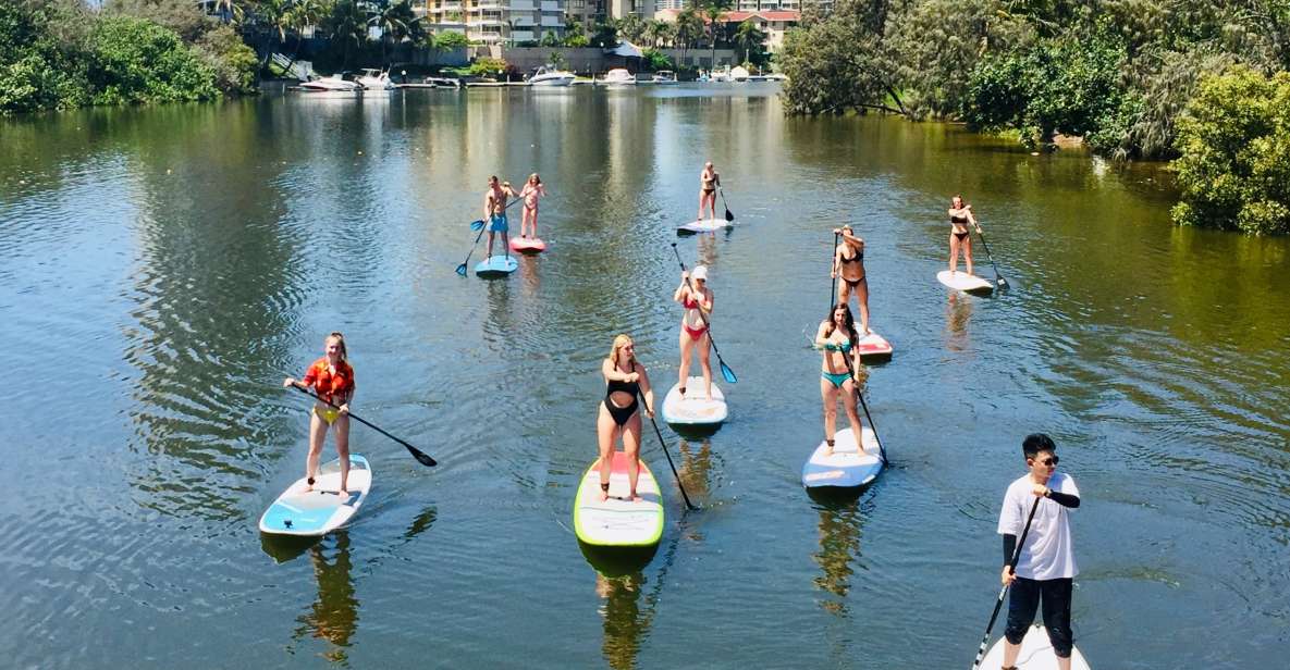 Gold Coast: 2-Hour Standup Paddleboarding Tour & Marine Life - Key Points