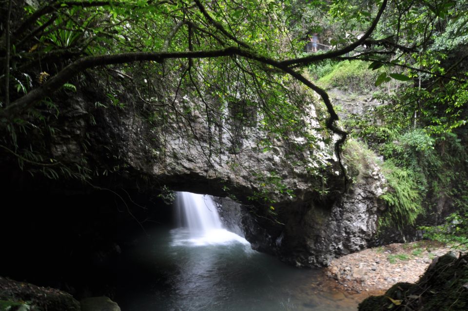 gold coast natural bridge springbrook waterfalls tour Gold Coast: Natural Bridge & Springbrook Waterfalls Tour