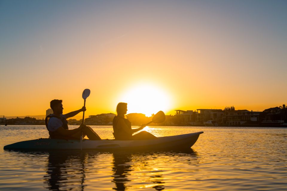 Gold Coast: Sunset Kayaking Tour to Macintosh Island - Key Points