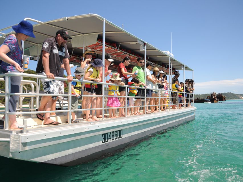 Gold Coast: Tangalooma Marine Discovery Day Cruise Transfers - Key Points