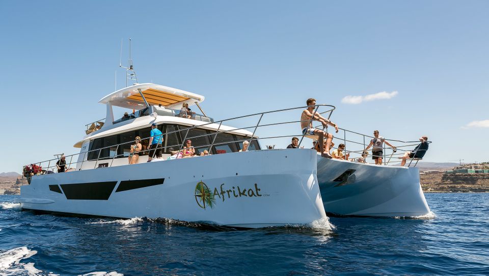 Gran Canaria: Fun Catamaran Cruise With Food and Drinks - Key Points