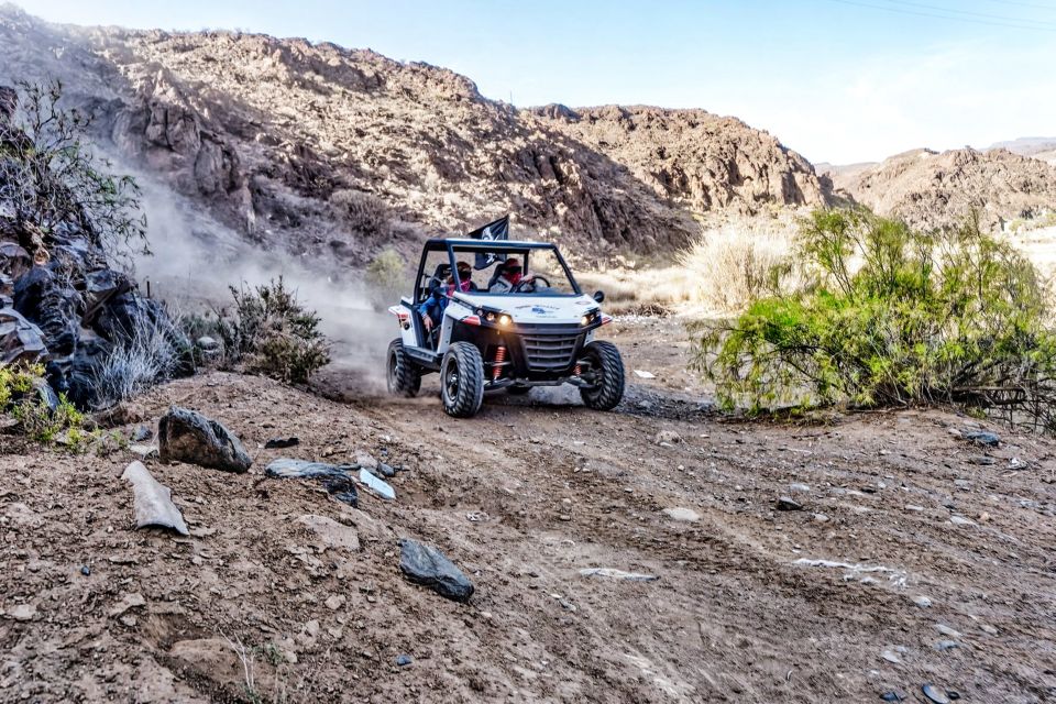 Gran Canaria Guided Buggy Tour - Key Points