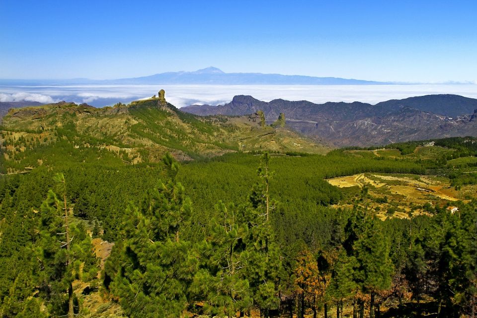 Gran Canaria Highlights Full-Day Tour by Bus - Key Points