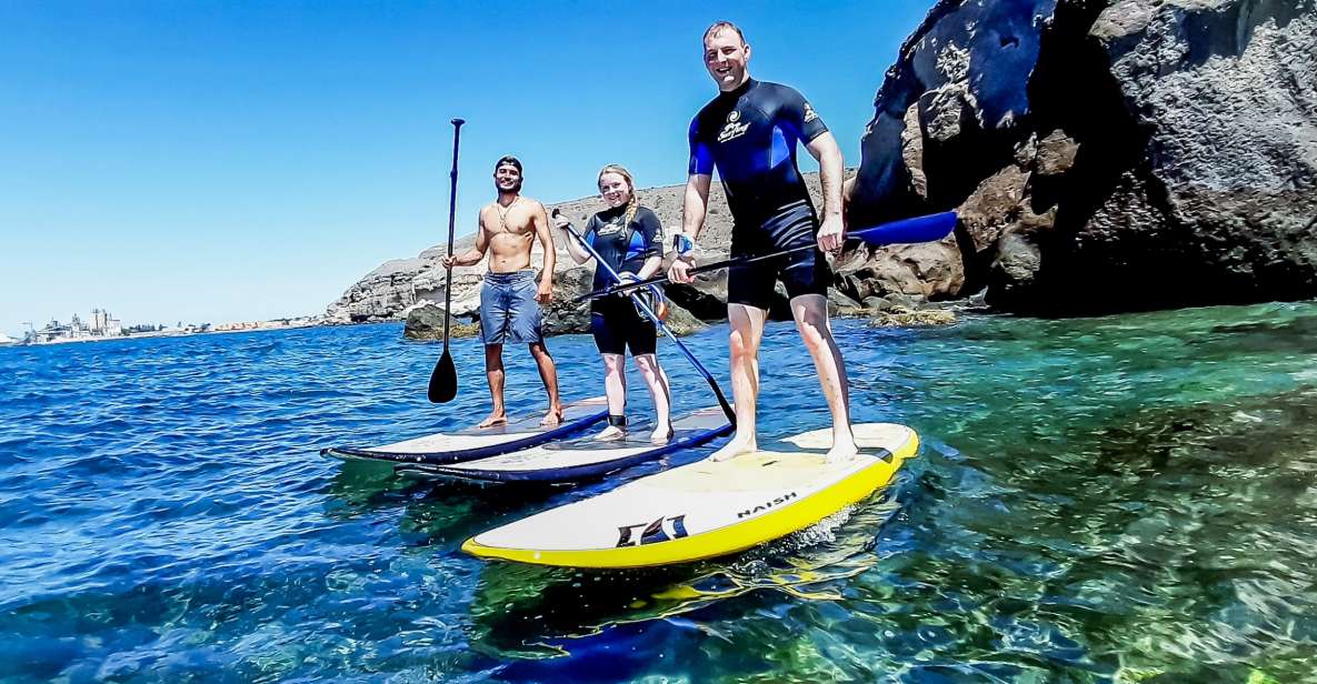 Gran Canaria: Stand-Up Paddle Lesson & Snorkeling Tour - Key Points