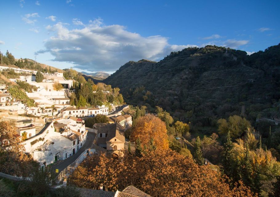 Granada: Exclusive Flamenco Private Tour - Key Points
