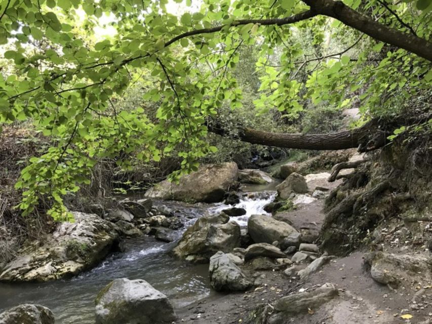 Granada: Guided Day Hike in Los Cahorros De Monachil - Key Points