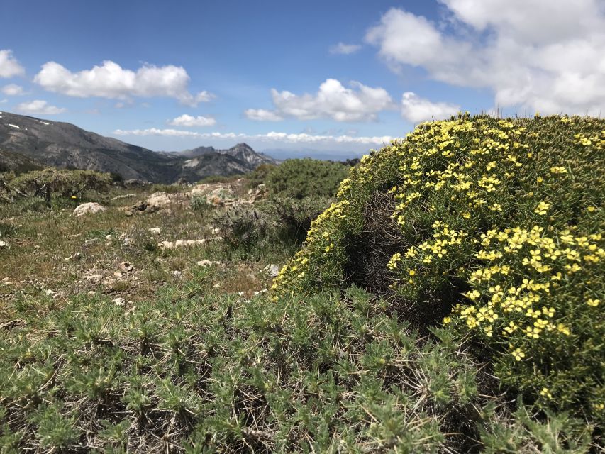 Granada: High Sierra Nevada Hiking Experience - Key Points