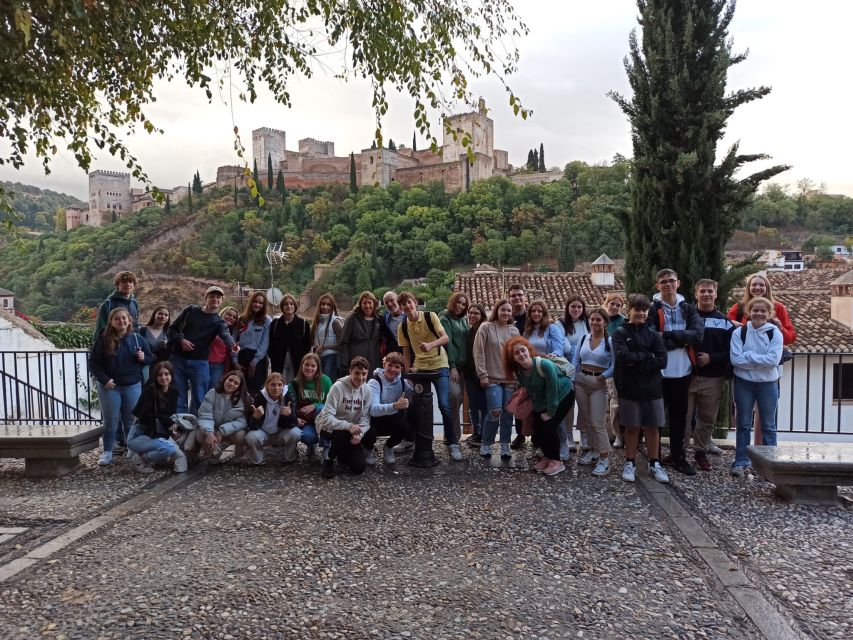 Granada: Historic Center and Lower Albaicin Walking Tour - Key Points