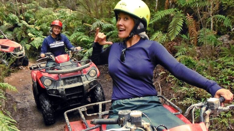 Greymouth: Off-Road Adventure in the ‘Enchanted Rainforest’