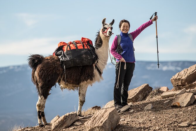 Guided Awesome 2-Hour Llama Hikes Private Experience - Key Points