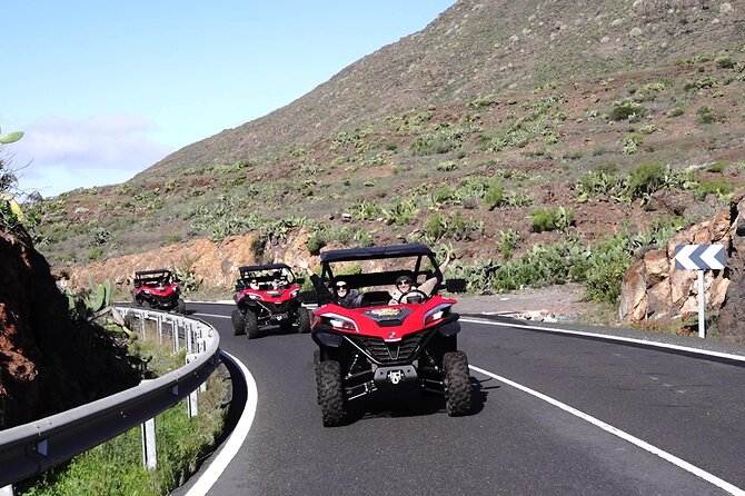 Guided Buggy Tour Through Teide National Park - Tour Overview