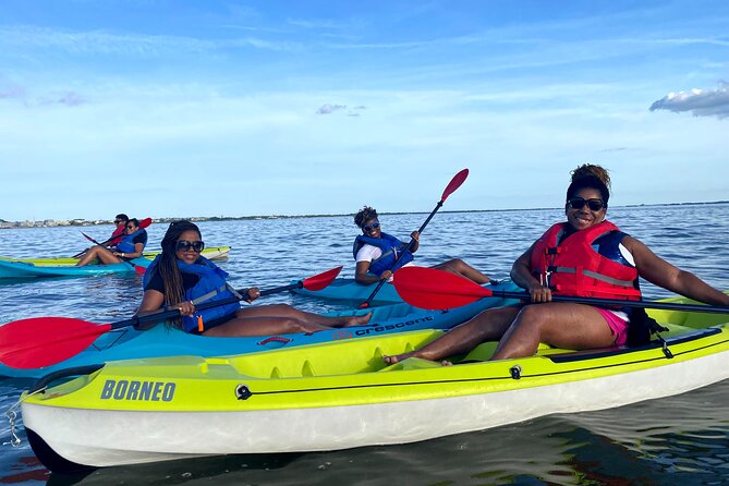 Guided Kayak Excursion Rehoboth Back Bay - Key Points