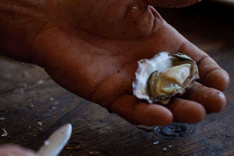 guided oyster tasting Guided Oyster Tasting