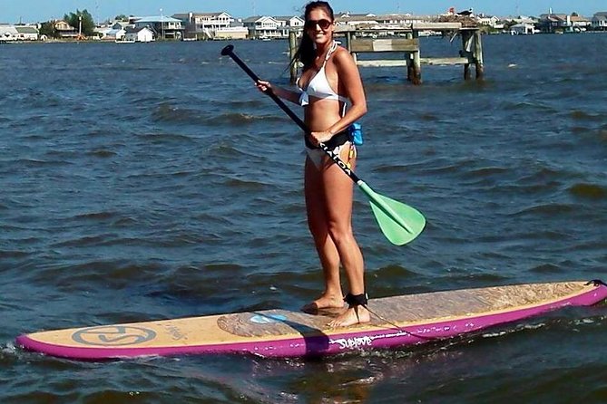 Guided Paddleboard Excursion on Rehoboth Bay - Key Points