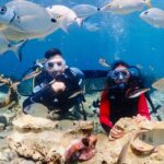guided scuba diving experience in kusadasi Guided Scuba Diving Experience in Kusadasi