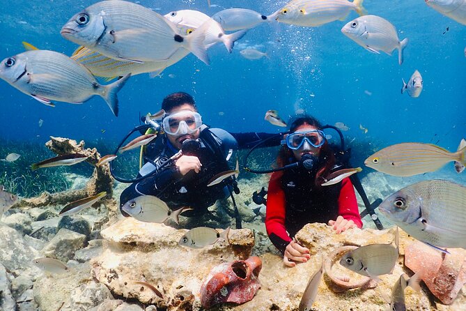 Guided Scuba Diving Experience in Kusadasi - Key Points
