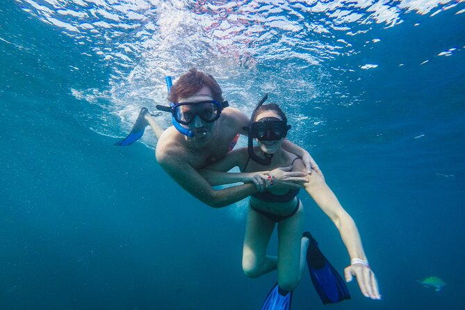 half day cabo snorkel adventure with lunch and open bar Half Day Cabo Snorkel Adventure With Lunch and Open Bar