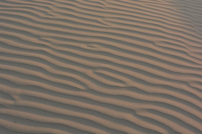 Half Day Camel Safari (Non Touristic Sand Dune) - Key Points