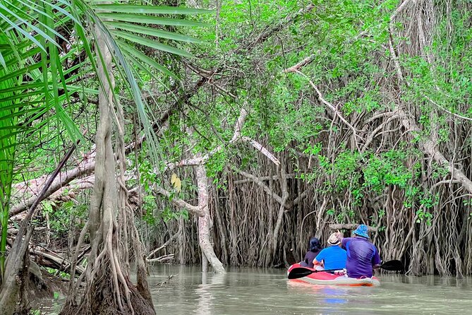 half day canoe boat trip at takuapa little amazon Half Day Canoe Boat Trip At Takuapa Little Amazon