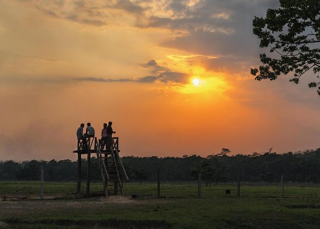 half day cycling tour of chitwan national park and local villages Half Day Cycling Tour of Chitwan National Park and Local Villages