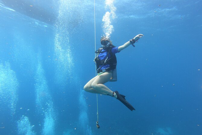 Half-Day Dive Tour in San Andres Island (CERTIFIED DIVERS ONLY) - Tour Overview