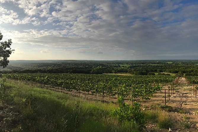 Half-Day Guided Tour of North Texas Wineries and Vineyards With Wine Tastings - Key Points