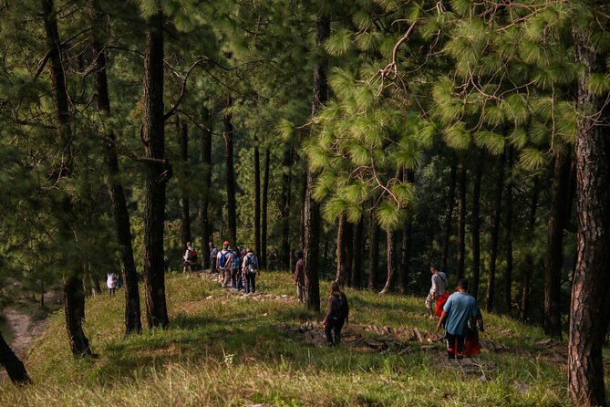 Half Day Hike to Hills and Waterfalls of Nagarkot in Nepal - Key Points