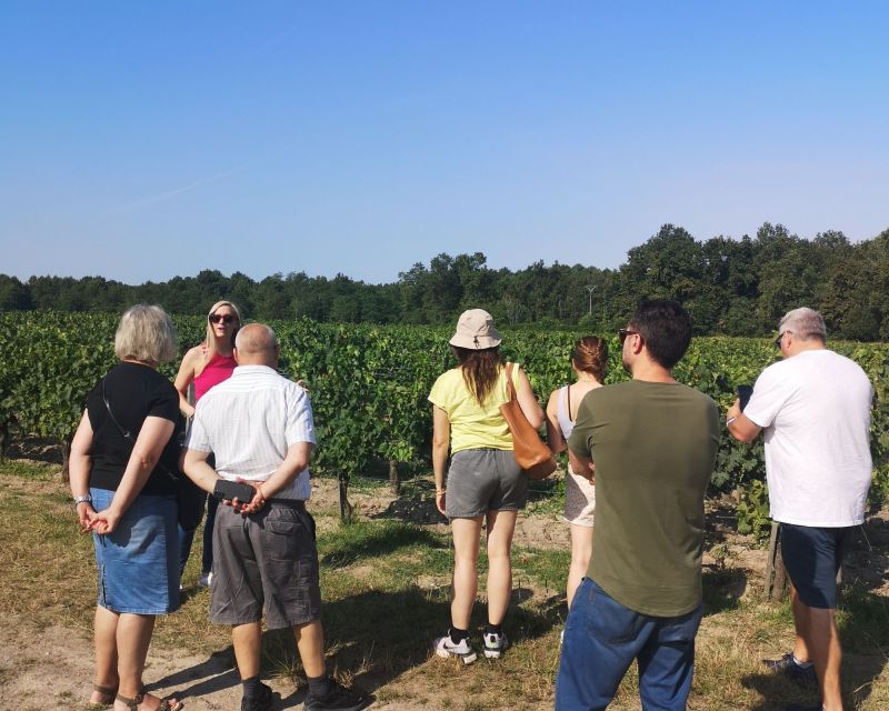 Half-Day in the Médoc From Bordeaux - 2 Wineries and 6 Wines - Key Points