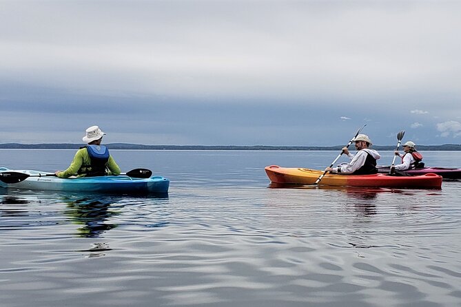 Half Day Kayak Rental on Sebago Lake - Key Points