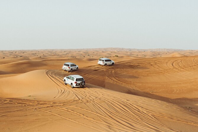 Half-Day Morning Desert Safari in Abu Dhabi - Key Points