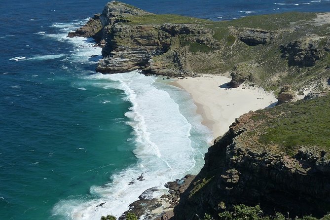 Half-Day Private Tour to Cape Peninsula With Local Guide - Key Points