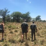 half day safari tour from johannesburg Half Day Safari Tour From Johannesburg