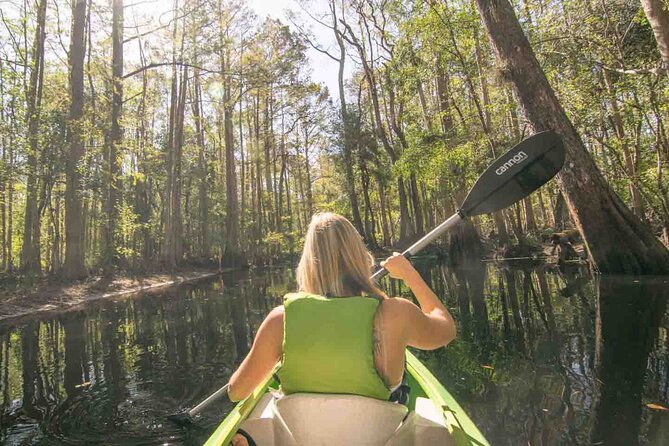 Half-Day Shingle Creek Guided Kayak Tour With Lunch and Roundtrip Transport