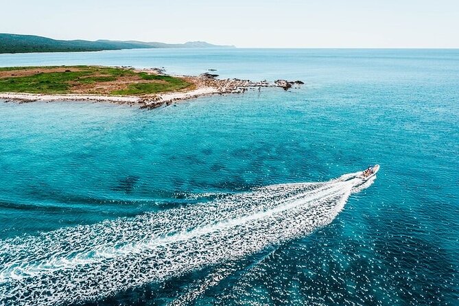 Half Day Speedboat Tour Around Islands of Zadar With Drinks - Key Points