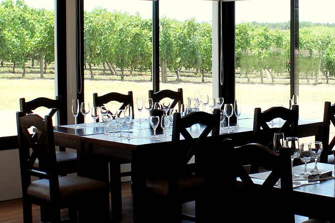 Half Day Tour at Pizzorno Winery With Lunch and Wine Tasting - Key Points