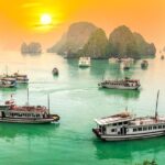 halong bay orchid cruise 5 star for 2days 1night Halong Bay - Orchid Cruise 5 Star for 2Days/1Night