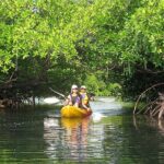 havelock island mangroves 2 hour private kayaking trip Havelock Island Mangroves 2-Hour Private Kayaking Trip