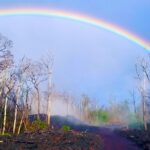 hawaii 2018 eruption guided tour including fissure 8 big island of hawaii Hawaii 2018 Eruption Guided Tour Including Fissure 8 - Big Island of Hawaii