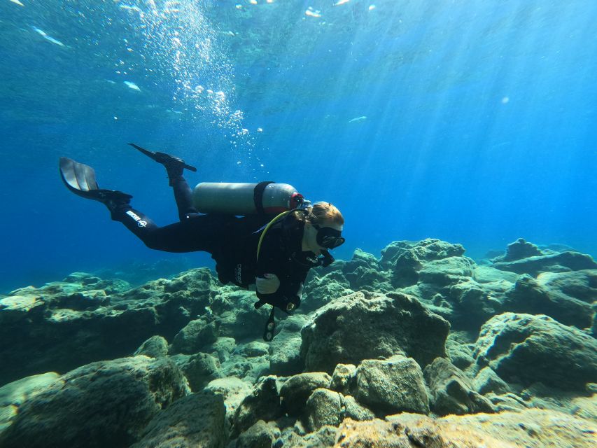 Heraklion: Scuba Diving Trip for Beginners - Key Points