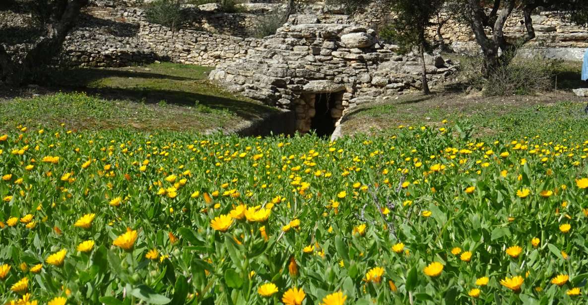 Heraklion: Springtime Plant Walk and Birdwatching in Nature - Key Points