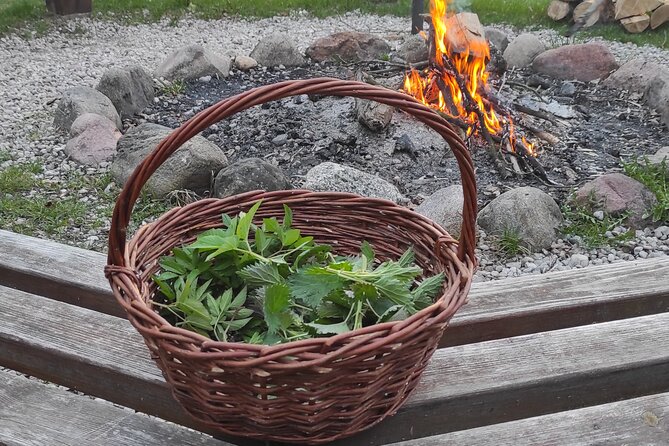 Herbal and Wild Food Walking Tour in Warsaw Area - Key Points