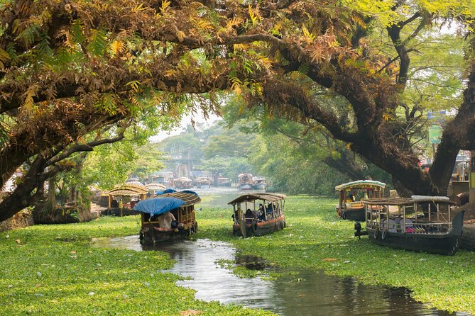 Heritage & Cultural Walk of Alleppey (Guided Walking Tour) - Key Points