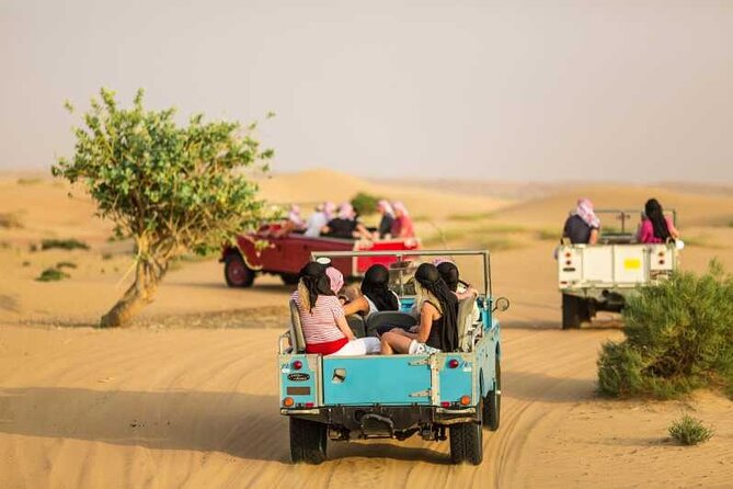 Heritage Desert Safari Private and Sharing - Key Points